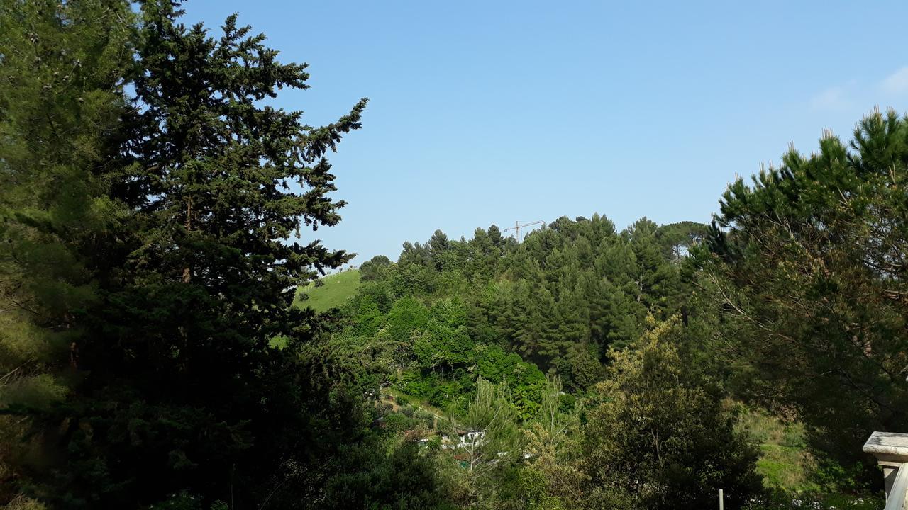 Parco Dei Gelsomini Acomodação com café da manhã Ascoli Piceno Exterior foto