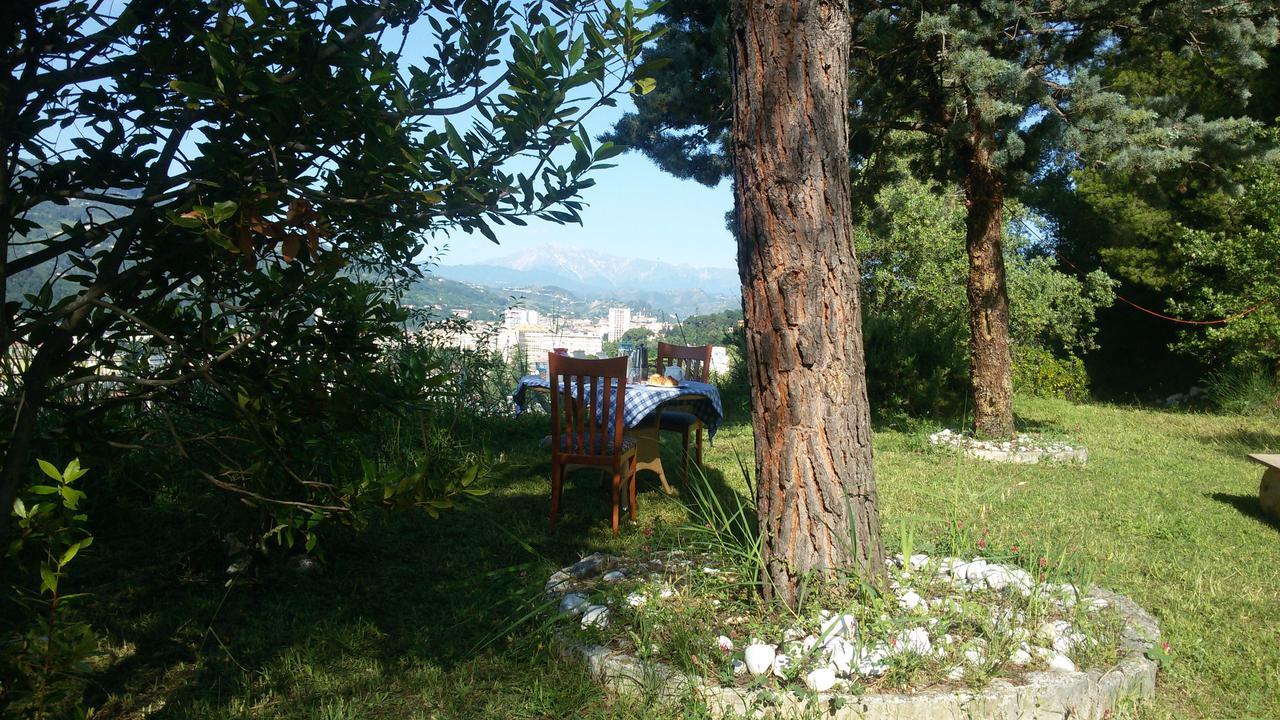 Parco Dei Gelsomini Acomodação com café da manhã Ascoli Piceno Exterior foto