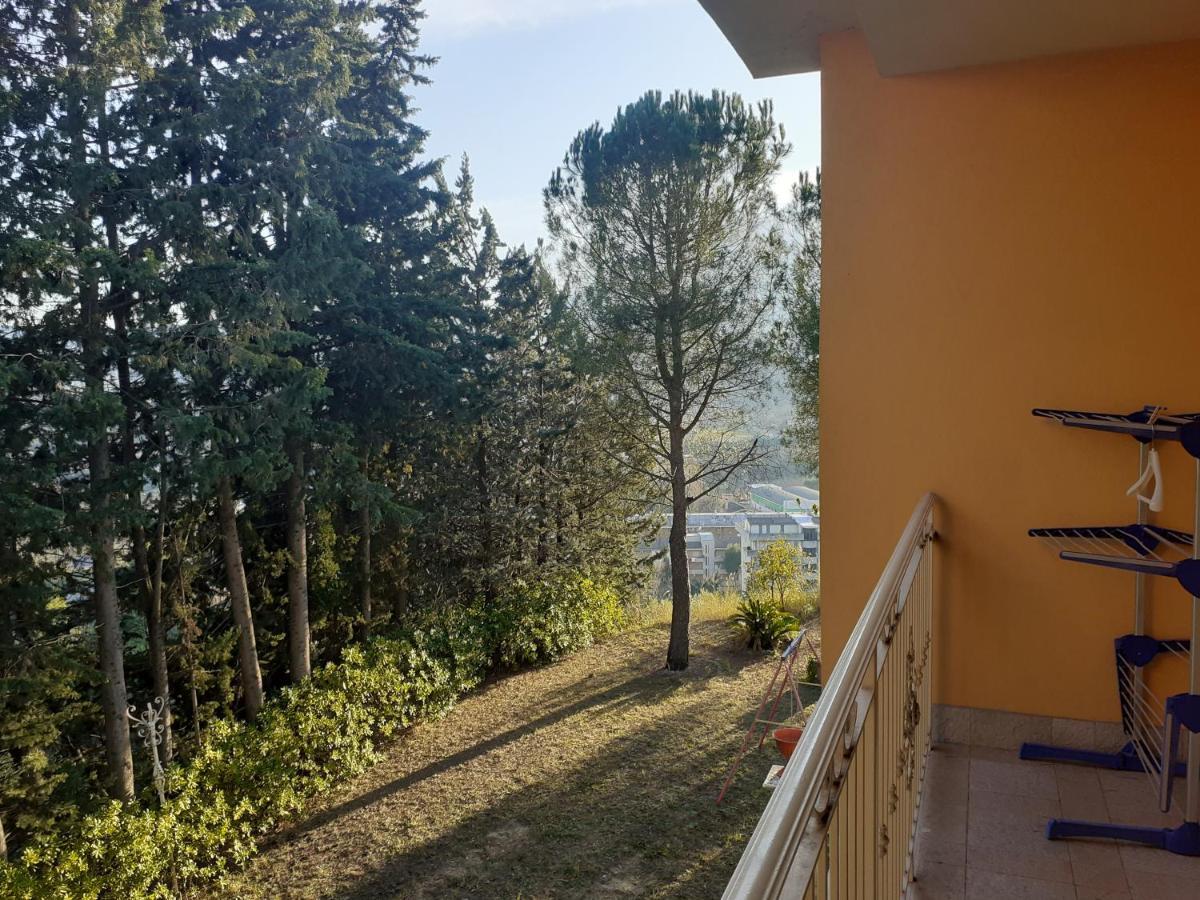 Parco Dei Gelsomini Acomodação com café da manhã Ascoli Piceno Exterior foto